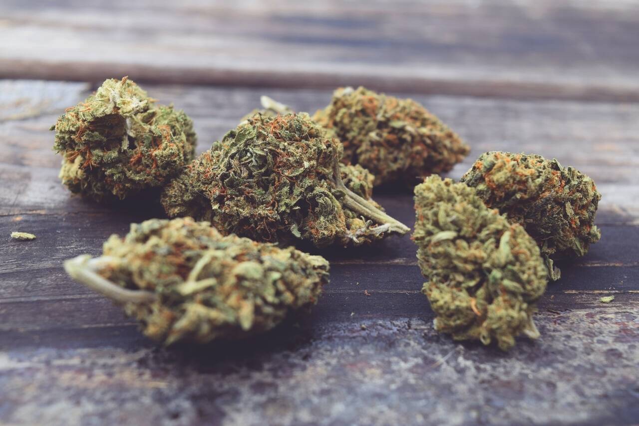 Top reasons to use dispensary delivery service | Healthy Land of Knowledge and Ideas
